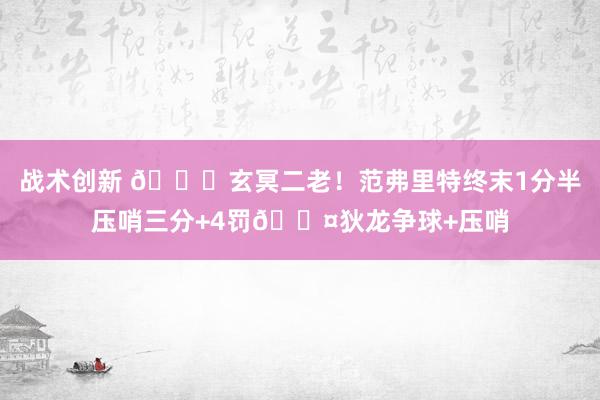 战术创新 🚀玄冥二老！范弗里特终末1分半压哨三分+4罚😤狄龙争球+压哨