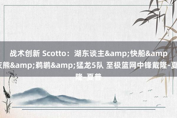 战术创新 Scotto：湖东谈主&快船&灰熊&鹈鹕&猛龙5队 至极篮网中锋戴隆-夏普