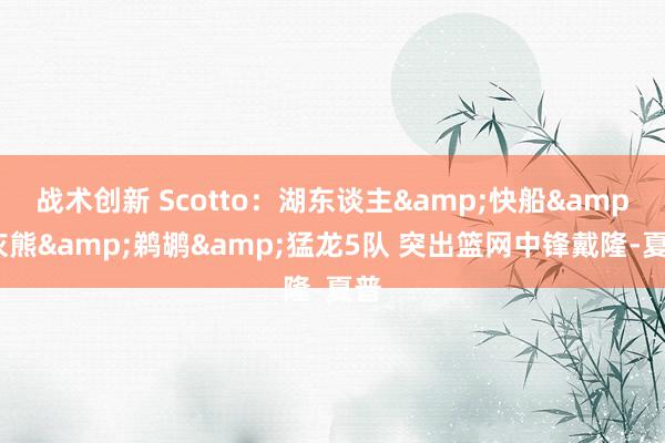 战术创新 Scotto：湖东谈主&快船&灰熊&鹈鹕&猛龙5队 突出篮网中锋戴隆-夏普